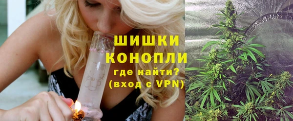 spice Заводоуковск
