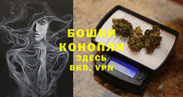 PSILOCYBIN Заволжск