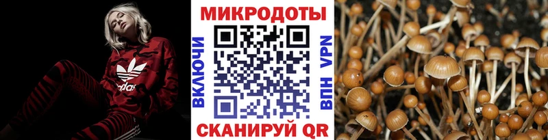 Купить закладки  Мышкин  Псилоцибиновые грибы прущие грибы 