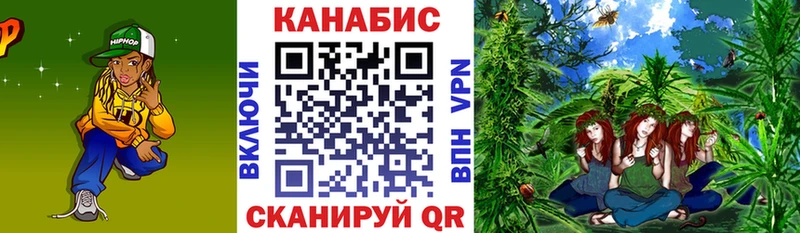 Купить  Мышкин  Канабис VHQ 